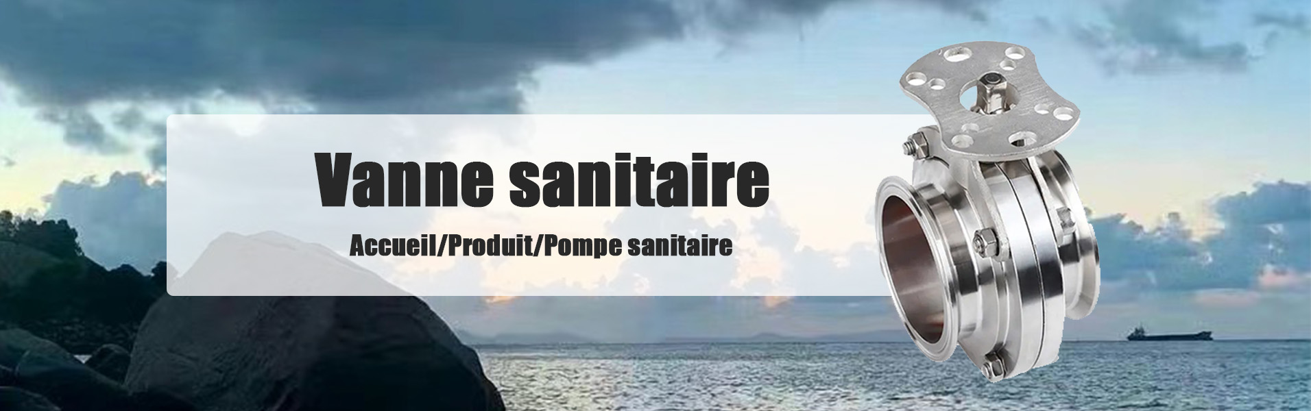 Vanne papillon sanitaire